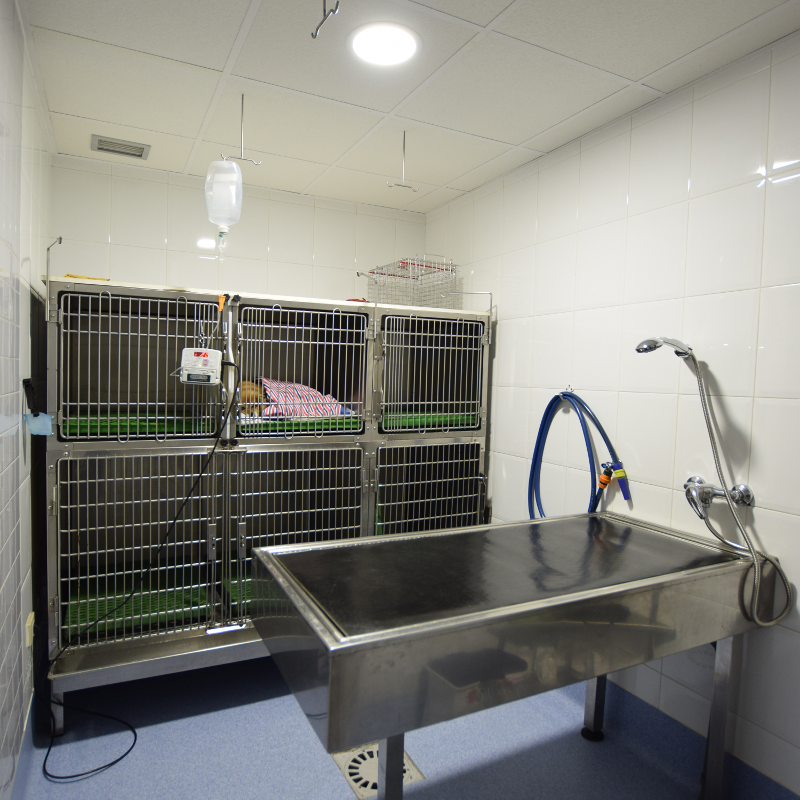 Centro Veterinario Meira
